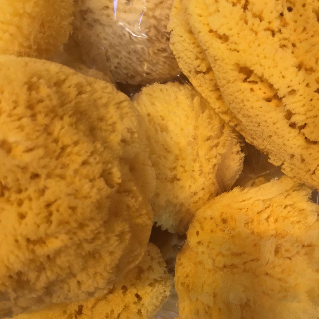 Check out The Natural Sea Sponge Company Stand 20E20-F21 #natural #SpringFair16