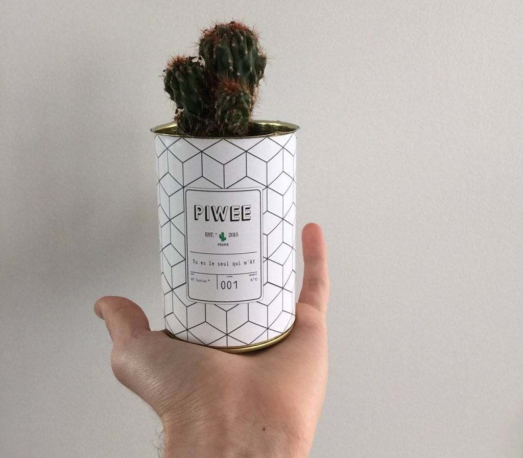 Merci aux amis de l'agence <a href="/bigkidsfr/">Big Kids</a> pour ce joli petit cactus Piwee en guise de voeux 2016 🌵