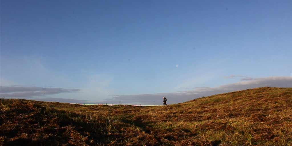 Museum Crush tweet media