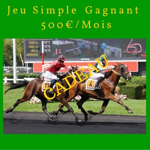 v1v1985's tweet image. Abonnement GRATUIT 500€/MOIS de Bénéfice
commentgagneraupmu.fr/abonnement-gra…