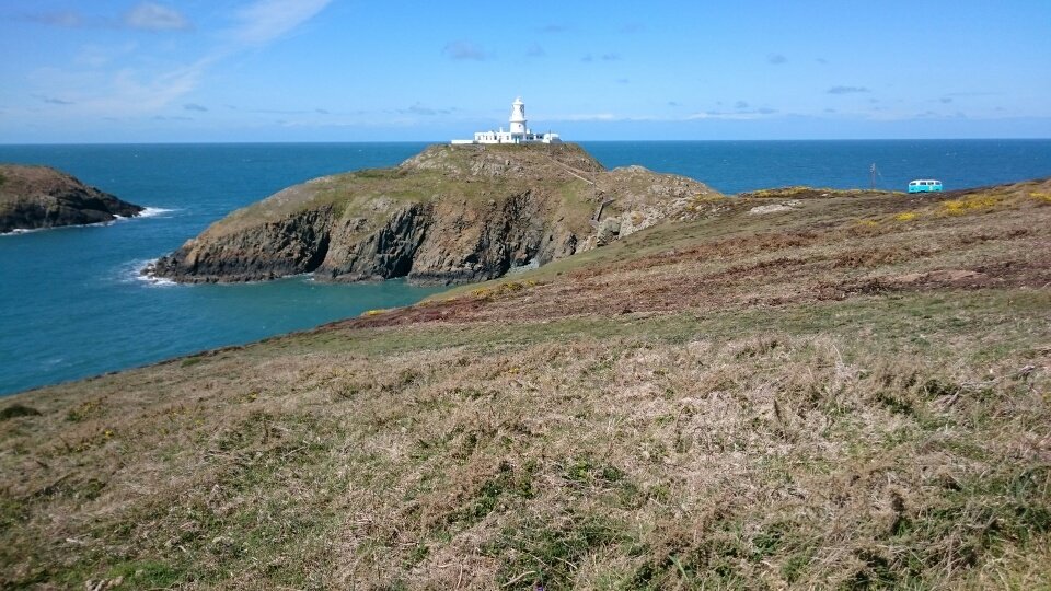 tobias_00's tweet photo. @CountryfileMag I think @strumblehead looked pretty magnificent last spring @EE were filming an ad there at the time https://t.co/IYWp5U6NBS