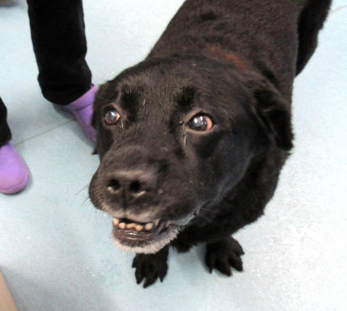Faces like this brighten up our day