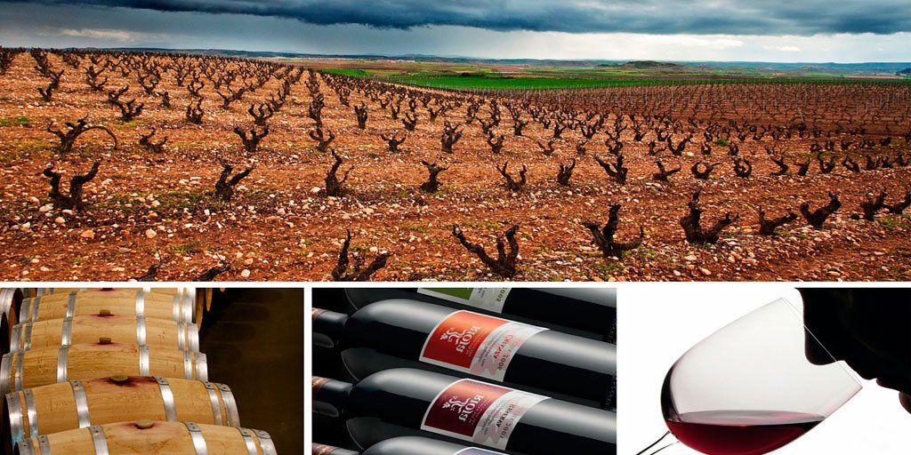 RiojaWine_ES's tweet photo. #Rioja "líder de los #vinos españoles" es referente en calidad y valor seguro. https://t.co/L3spJnuuui https://t.co/idnbLBV3Uf