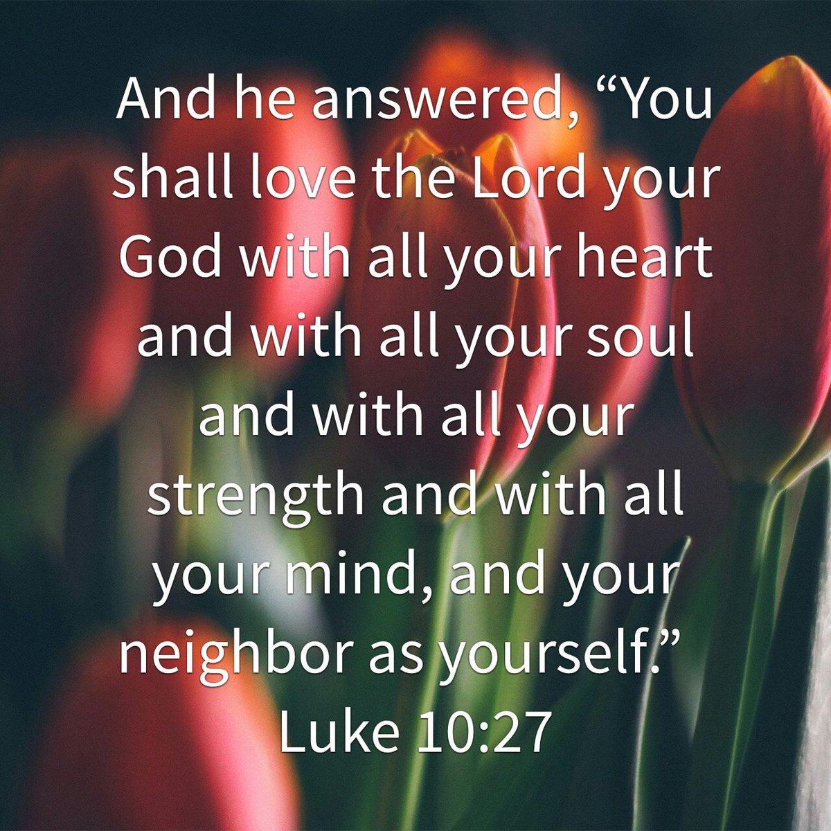 doingitwell36's tweet photo. https://t.co/iwd83MjmKd Agape, Unconditional Love. Not if. Not but! Not when. #Love #OrderedbyGod https://t.co/PVUt1jgXry