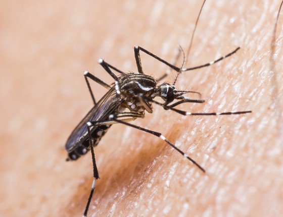 ofiltro's tweet photo. China confirma primeiro caso de zika em homem que viajou à Venezuela  https://t.co/9zrh2wzbZi https://t.co/Gxh8v2FVSF