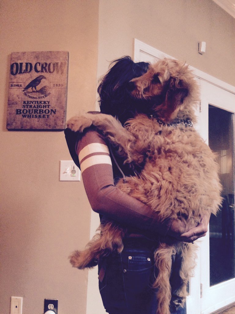WTDistillery's tweet photo. Who needs a Vermont teddy bear when you have this much Kentucky Bourbon, Bourbon is now four months old https://t.co/XZZAYkJvh9