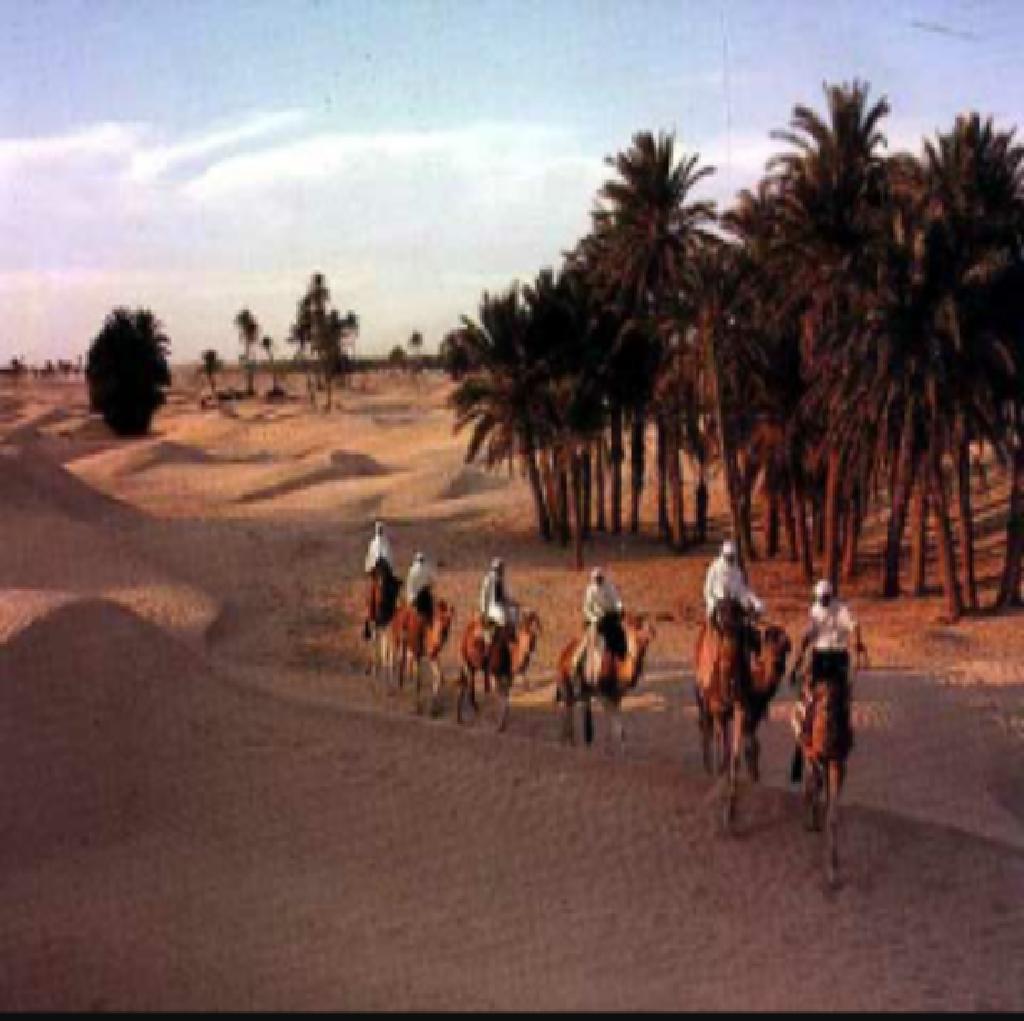 sahouihab1980's tweet photo. #فانز_سهيله_بضيافه_ليبيا
مناطق سياحية ليبية روعة يا جمالها
#ihabamir
#souhilabenlachhab https://t.co/IS01bR7Zvz