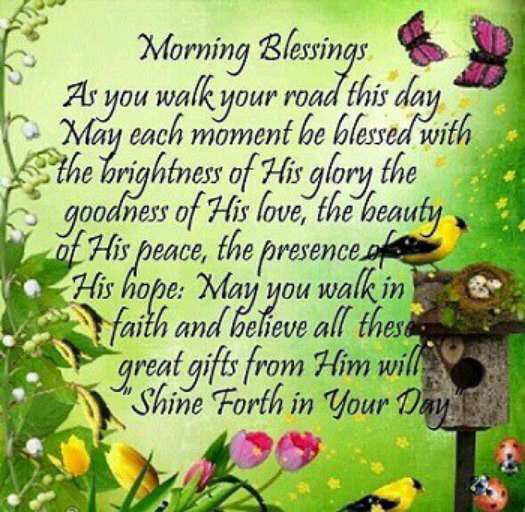 MuffettaNatural's tweet image. Good morning, feel your breath today