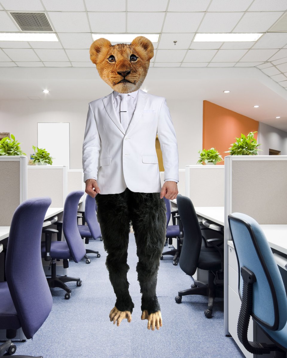 steveada000's tweet photo. lion, monkey, man  #RHSGDI https://t.co/zgJzGrrGbU