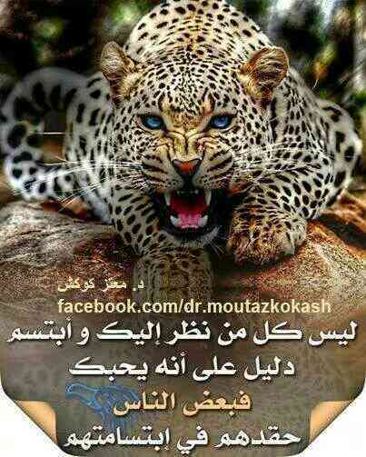 ابوفيصل الشمري tweet media