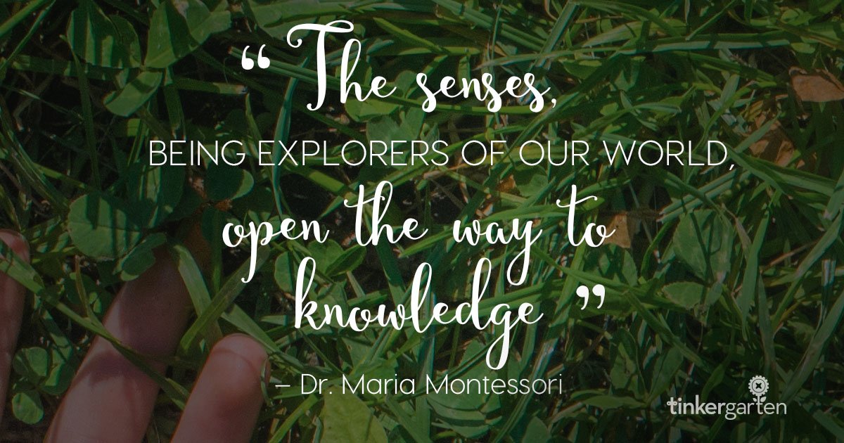 tinkergarten's tweet image. Explore + experience everything the #outdoors have to offer. tinkergarten.com/classes #kidclasses #learnoutside