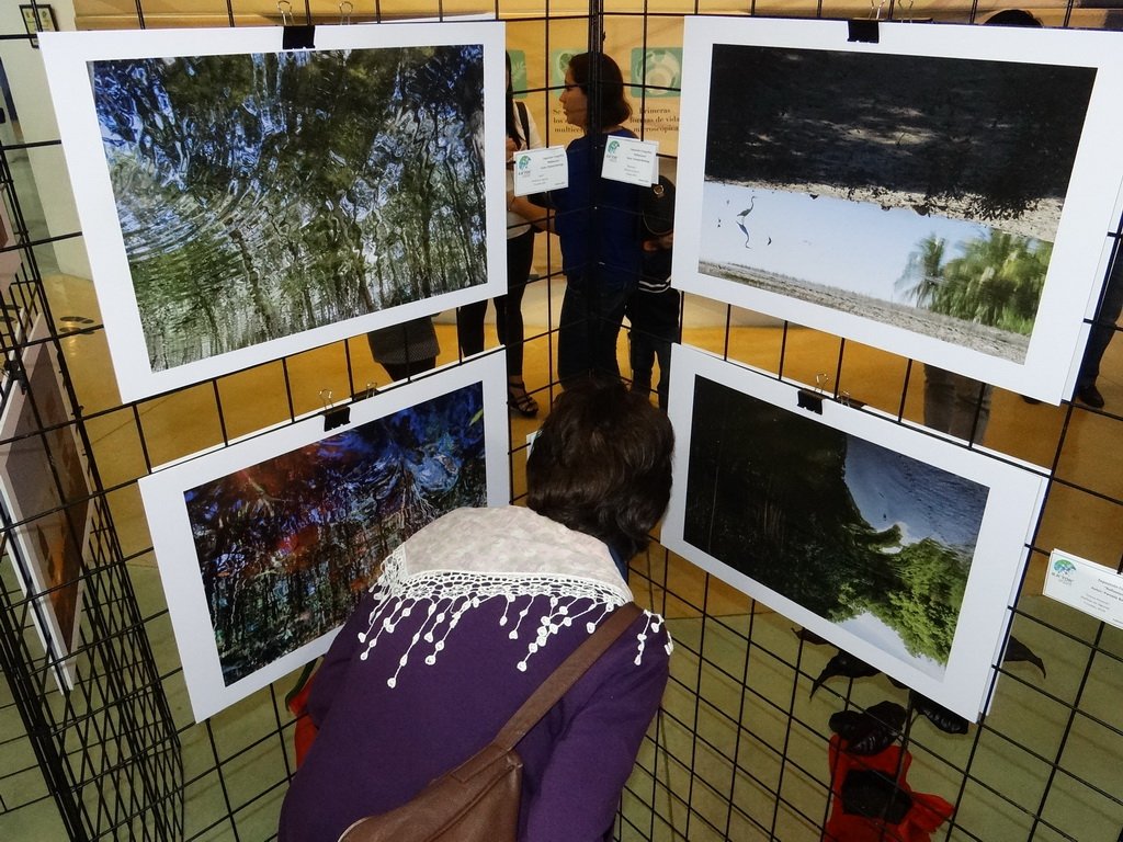 PlanetarioCun's tweet photo. Pamela Berlanga,inaugura exposición fotográfica REFLEXIONES en #Kayok #AIL2015 con Dr. Jorge Rivero y @karlapo https://t.co/FkhtEAv5dS