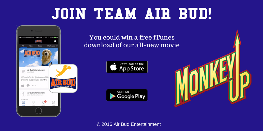 AIRBUD's tweet photo. Join #TeamAirBud - you could WIN a free movie! iTunes: https://t.co/UckmEYoC1L Google Play: https://t.co/JuEHEVzdRU https://t.co/hJ6DEIISTj