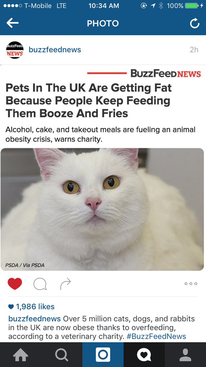 heyitsashlyg's tweet image. No wonder why im obese, that's basically my diet.