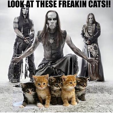 TrueMetalNinja's tweet photo. Hmmm #RandomCatPicture #Behemoth #Nergal #CatsOfTwitter https://t.co/enlbvD4JZN