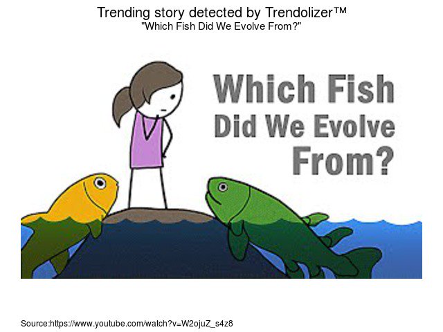 atheistolizer's tweet image. Which Fish Did We Evolve From? #MarkRoth #YouTube #AntoineCoeur... atheism.trendolizer.com/2016/02/which-…