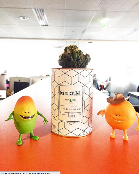 Merci <a href="/bigkidsfr/">Big Kids</a> pour cette petite attention ! 🌵