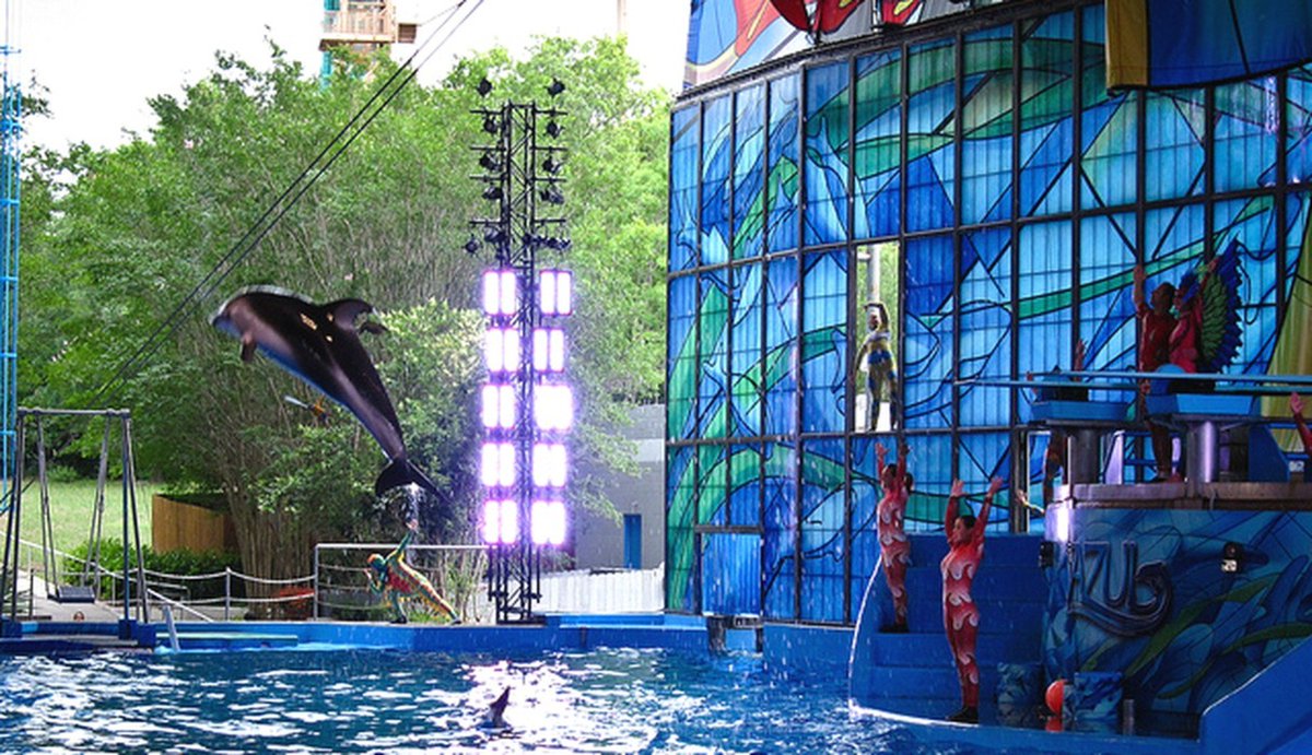 dodo's tweet photo. Dart the Dolphin spent most of his short life in a tank #EmptyTheTanks #SeaWorld https://t.co/LiSvzt9TzL https://t.co/RSmfPeoNeH