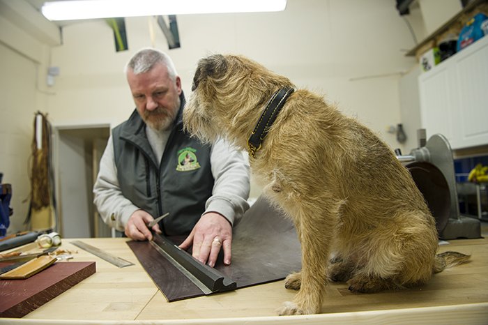 MeruMhor's tweet photo. Another project,with quality control keeping a close eye!
#border terrier #dogs #leatherwear #Glasgow #handmade https://t.co/sCp4BvEE4P