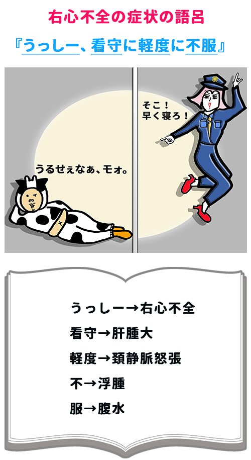 تويتر ゴロ 解剖生理イラスト على تويتر 右心不全の症状の覚え方 うっしー 看守に軽度に不服 T Co Ucvktrhstl