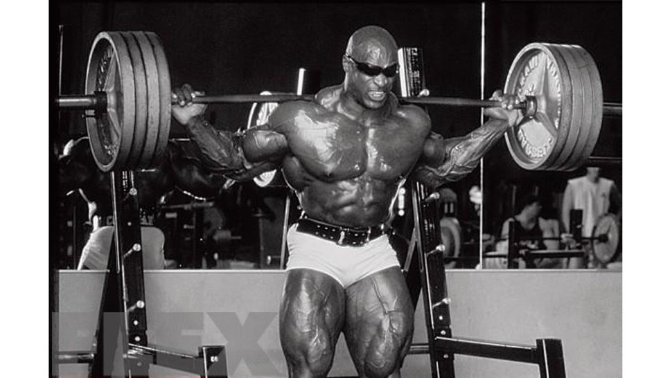FLEX_Magazine tweet picture