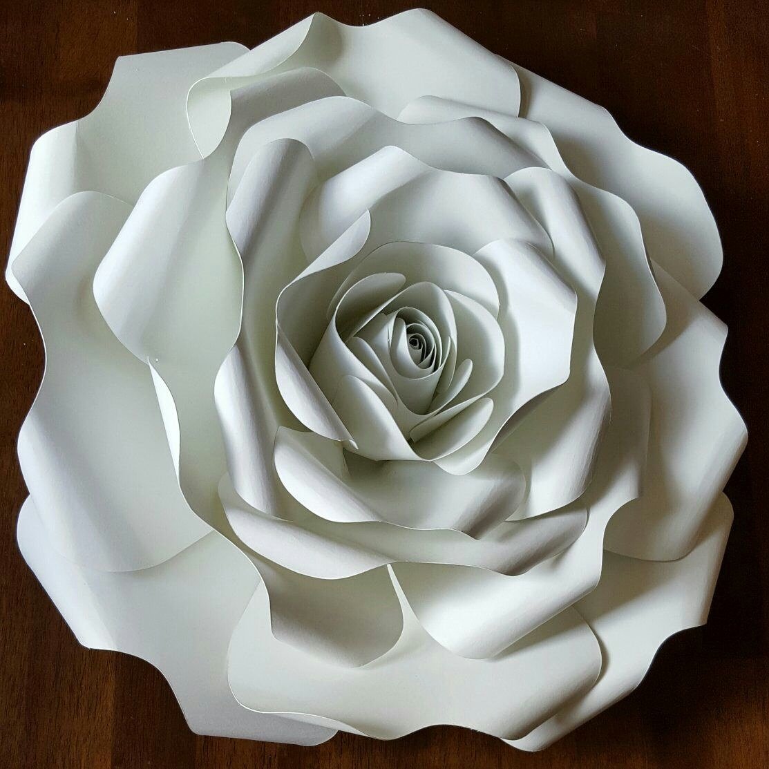WPFlowerDesign's tweet image. Giant Paper Flower Rose. 
#paperflowers #paperflowerbackdrop #paperflowerrentals #wedding #weddingflowers #flowers