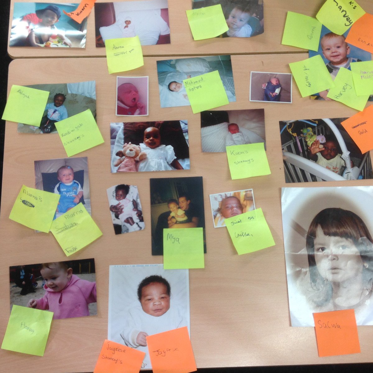 HOCS_KS2's tweet photo. Year 5 guessed which baby face belonged to their classmate for their science topic, growth. Such cuties. https://t.co/WrKMtbgM1z