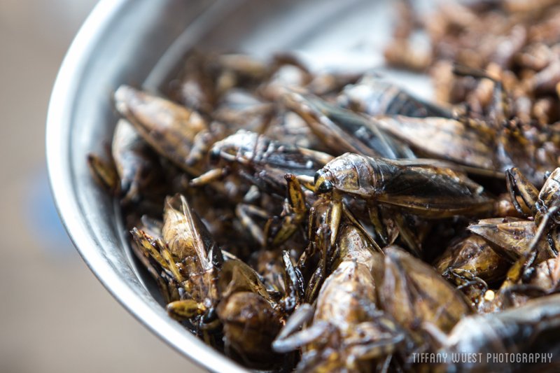 Top 10 Must Eat Foods In Siem Reap
ow.ly/Y2BwE
