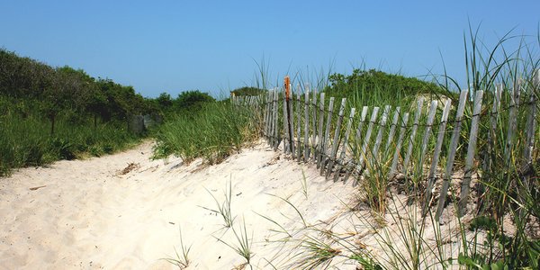 MassCZM's tweet photo. #SandFencing can help reduce #CoastalErosion. Learn more: https://t.co/RjB9BHZG5h https://t.co/6VfVox2kbH