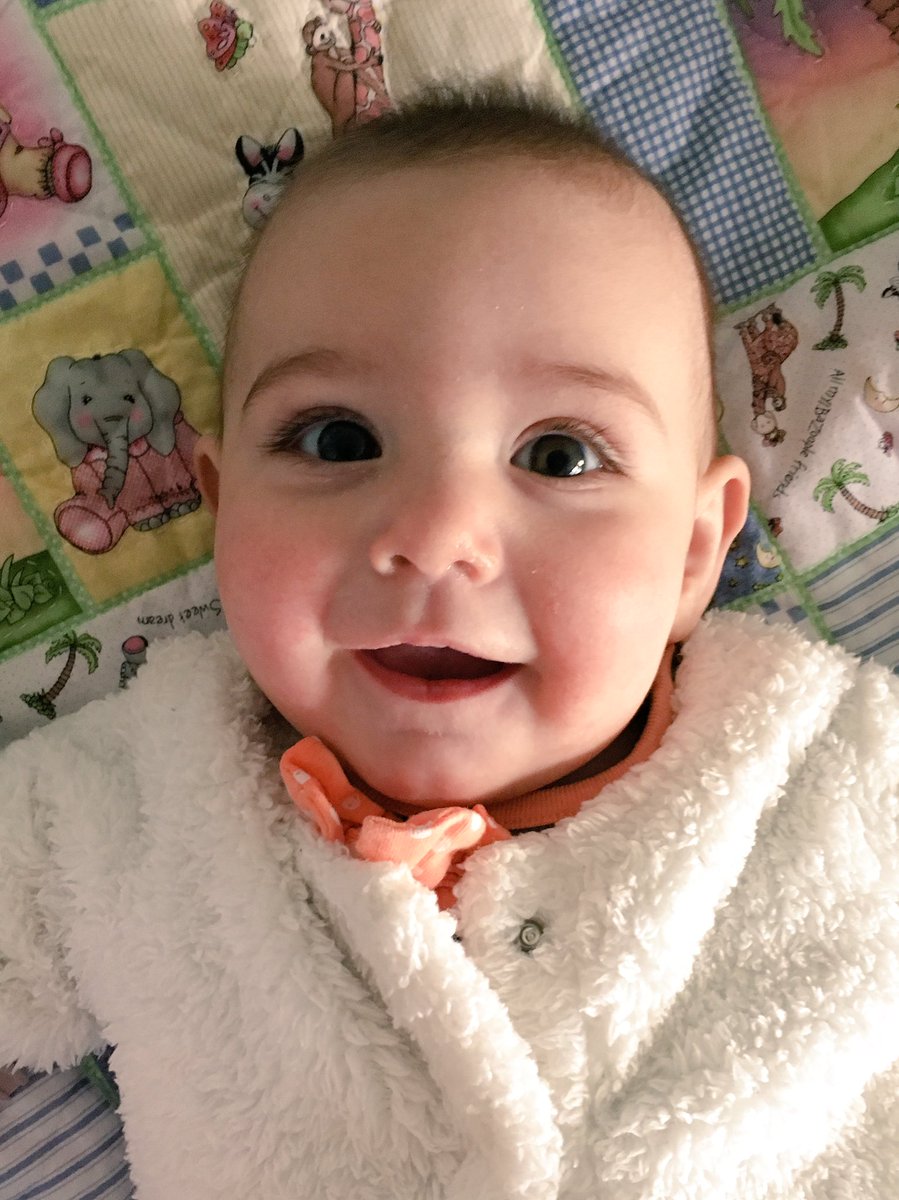 saylorloudis's tweet photo. I am 6 months old today. I do not get cake, yet... https://t.co/1XtgScxqno
