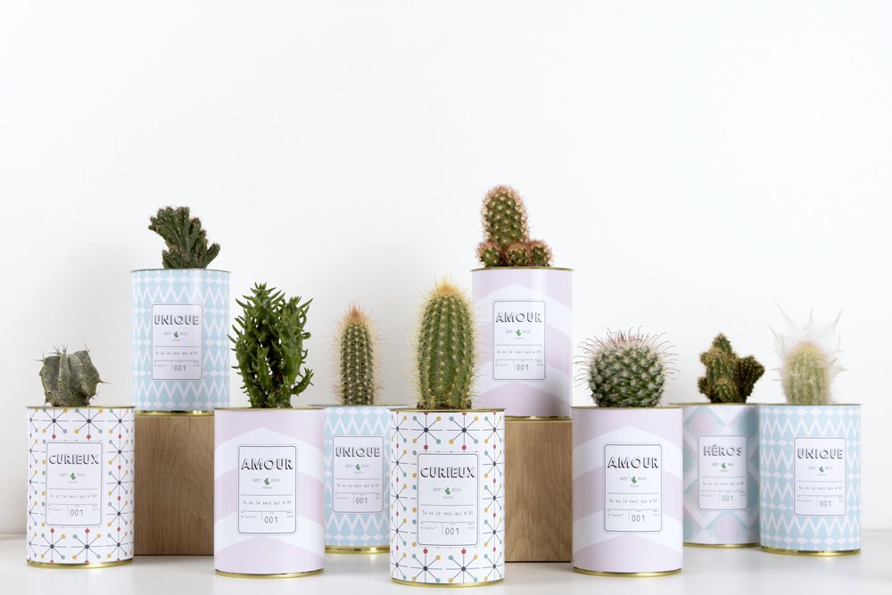 Pour la #SaintValentin, dites-lui avec un #cactus ! 🌵 <a href="/aycactus/">AŸ Cactus</a> 🌵