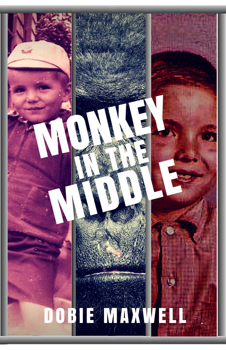 RobGolla's tweet photo. New book by comedian Dobie Maxwell. https://t.co/fSSQ8ENs1d