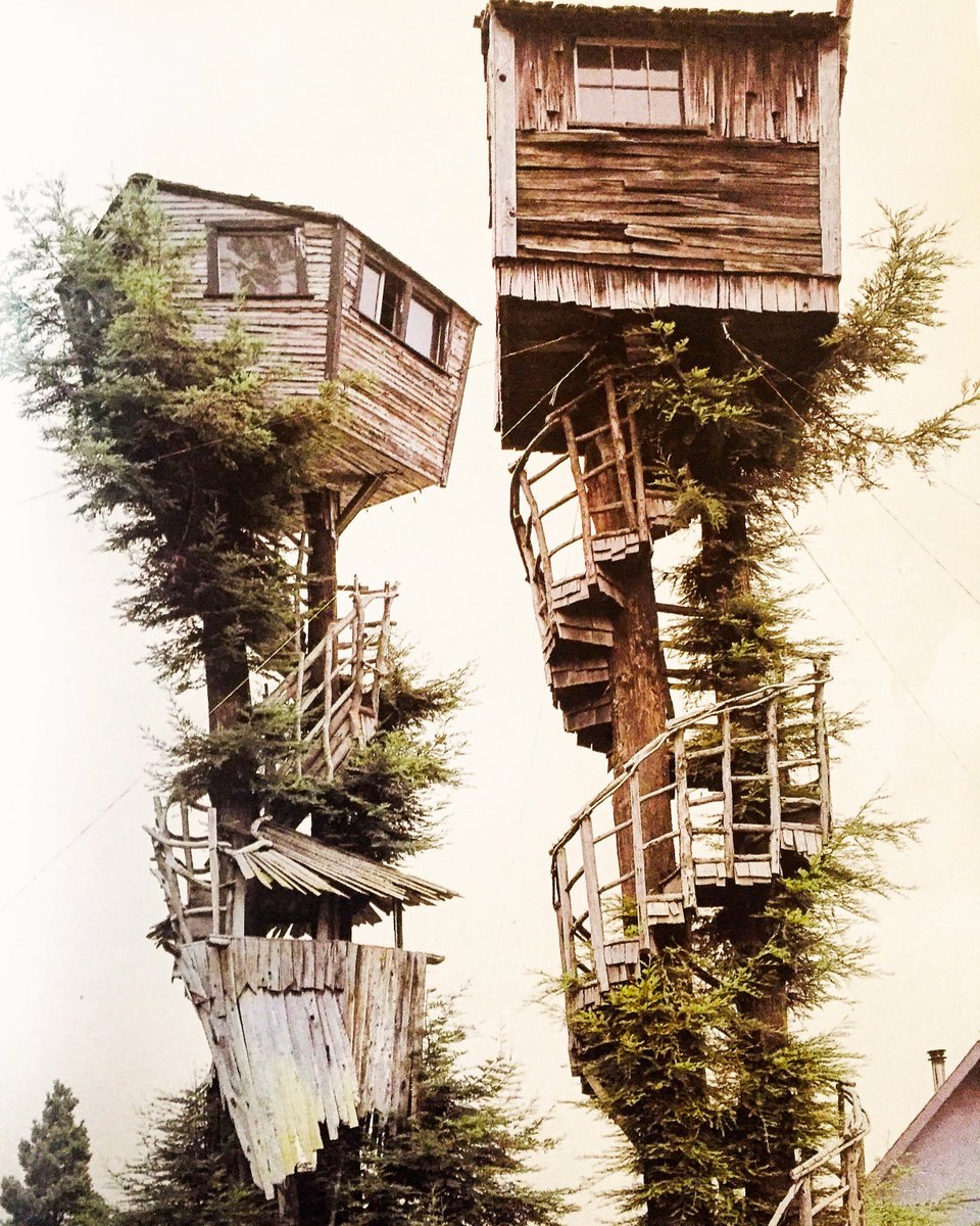 SamynDElia_Arch's tweet photo. #wardlikesthis driftwood treehouse in Eureka, CA built by a crabber over 4 years as a memorial PC: Paul Rocheleau https://t.co/dum1yCogZR