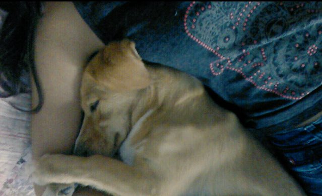lbflowerz's tweet photo. Cuento los días para verla💜 #Leisy https://t.co/VYsP7m7wfa