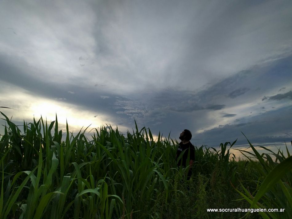 SRHuanguelen's tweet photo. ¡Buen día!
Desde la SRH les deseamos una excelente semana
Foto: sorgo, zona rural #Huanguelén https://t.co/NYwRYV0T2i