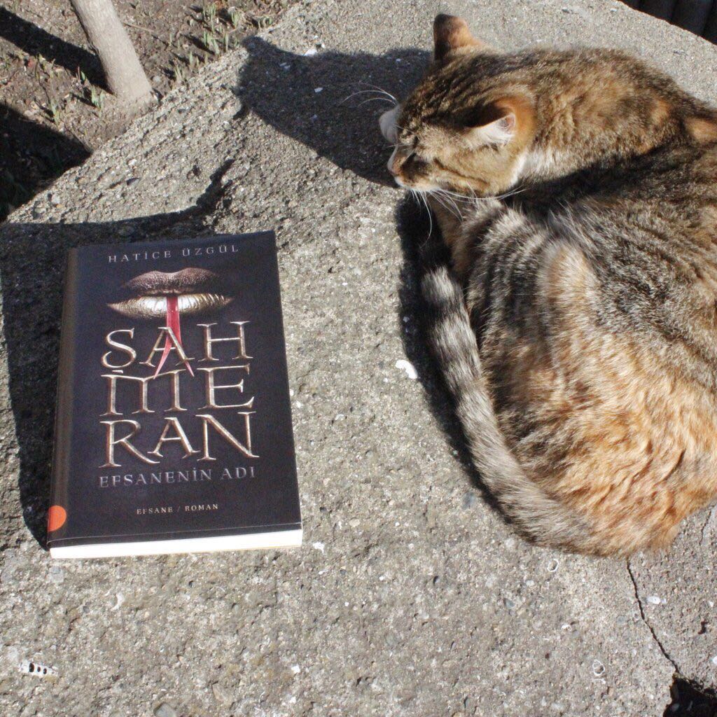 Dostluk ve husumetin, ihanet ve pişmanlığın çarpıştığı bir dünyada, karşınıza çıkıyor Şahmeran...