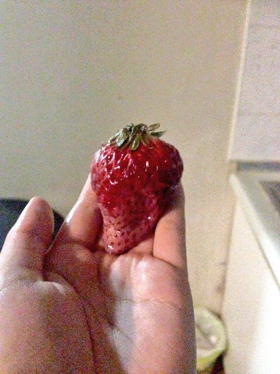 Kpyin's tweet image. ลูกใหญ่มากก แม่ส่งด่วนมาจาก ญป แต่เสือกเสียทุกลูก สรุป อดจ้าาาา 😭😭😭😭😭