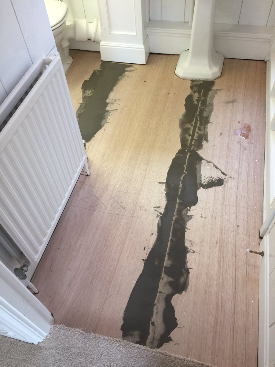 HartCarpetsHW's tweet photo. @KarndeanFloors @UzinLtd @HansonPlywood #perfectcombination https://t.co/QSipEcLYkQ