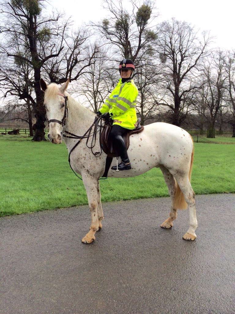 CityHorses's tweet photo. #CHIndiana, police's first Appaloosa features in latest edition of @YourHorse magazine https://t.co/ZttjBtkNsM
