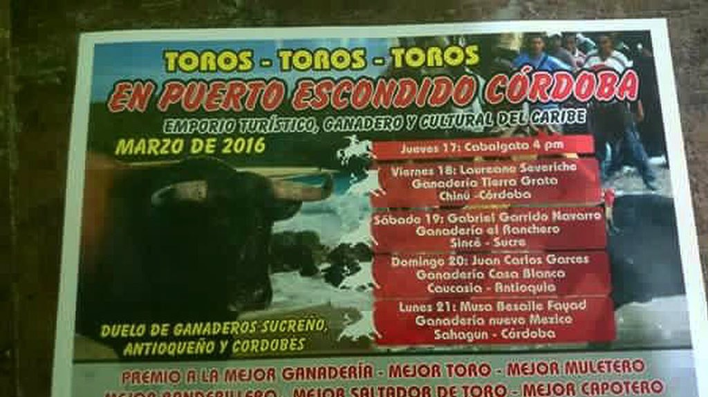 Asotoros tweet media