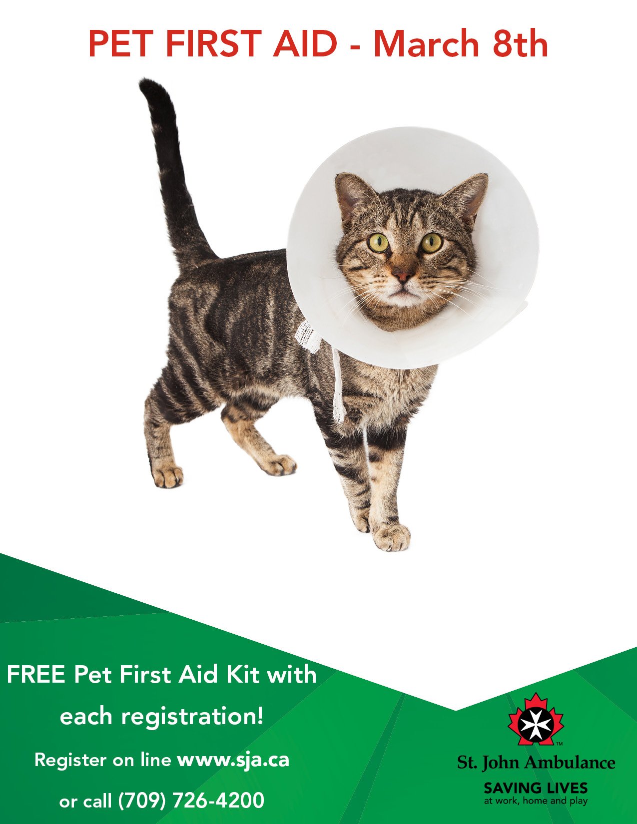 st john pet first aid kit