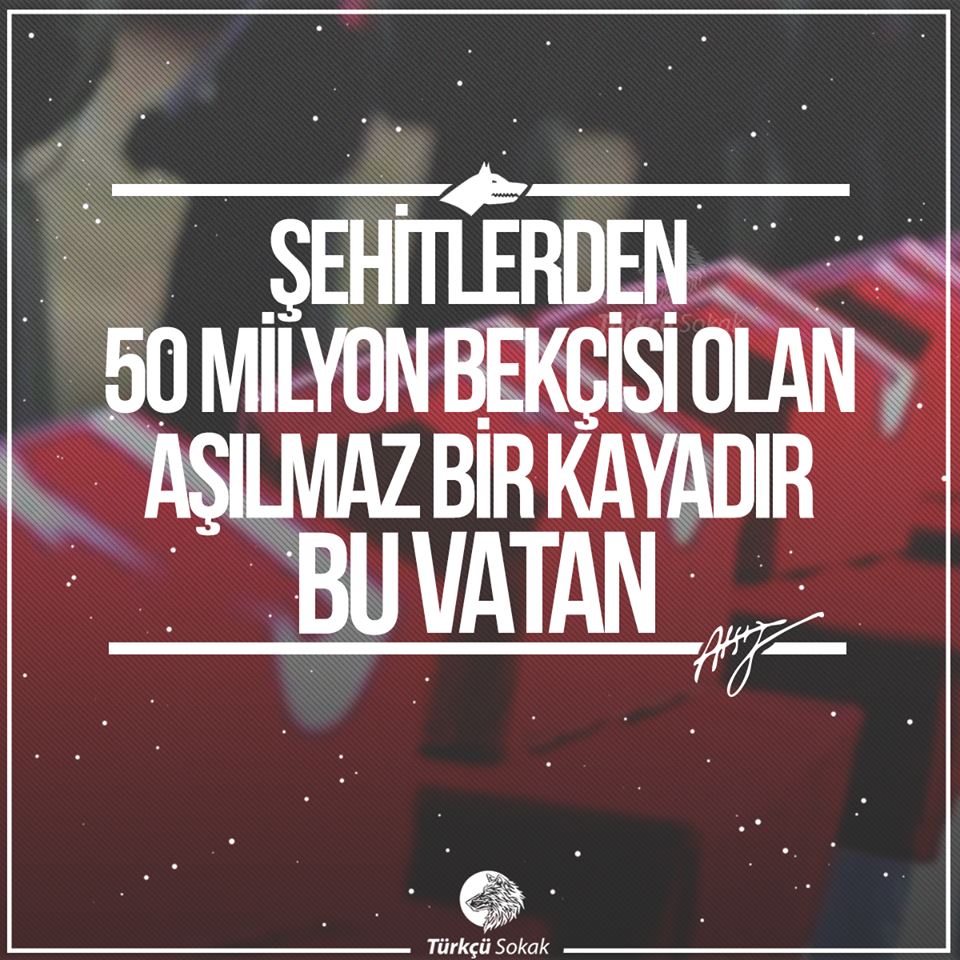 "Şehitlerden 50 Millyon Bekçisi Olan Aşılmaz Bir Kayadır Bu Vatan" -Hüseyin Nihal Atsız
ŞehidineSahipÇık TÜRKİYE