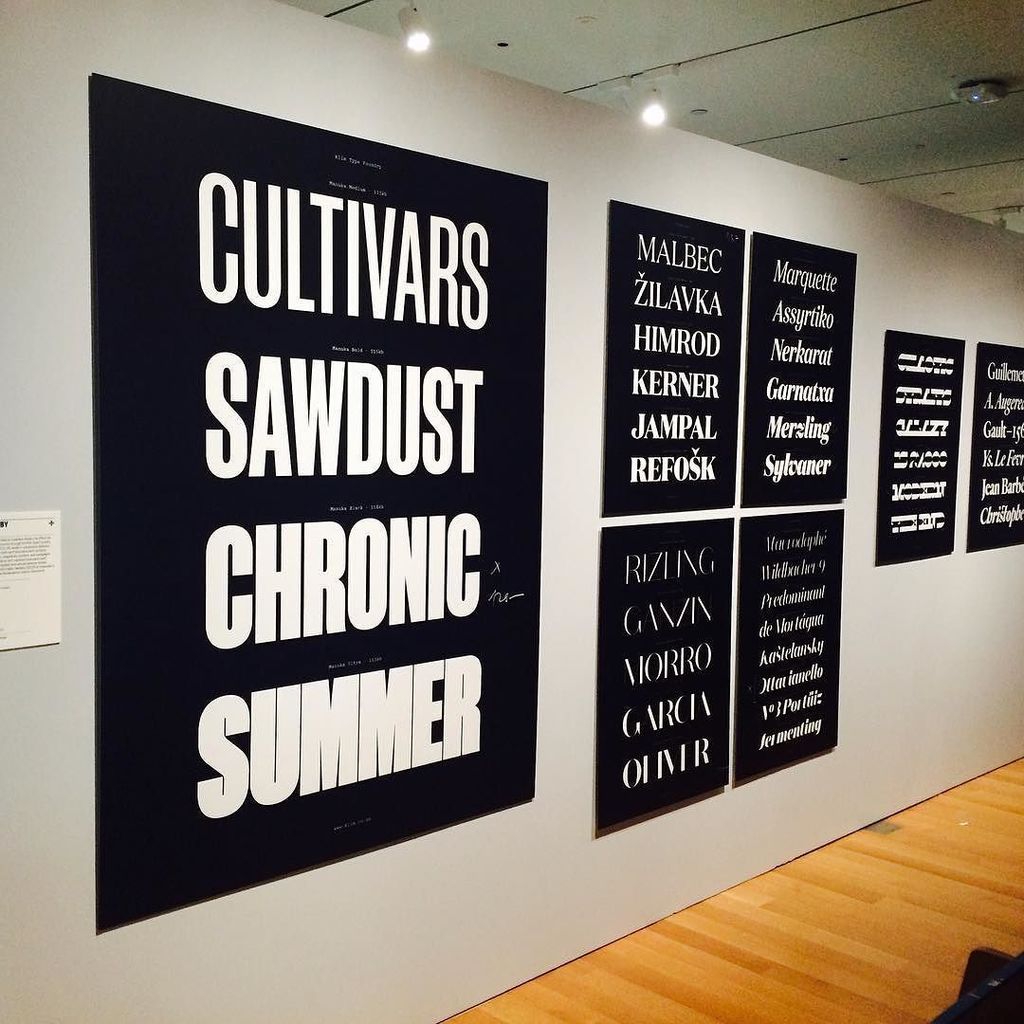 ellenLupton's tweet photo. Gotta love Klim! @cooperhewitt #designtriennial @klim_type_foundry https://t.co/dbsRw7kWTa