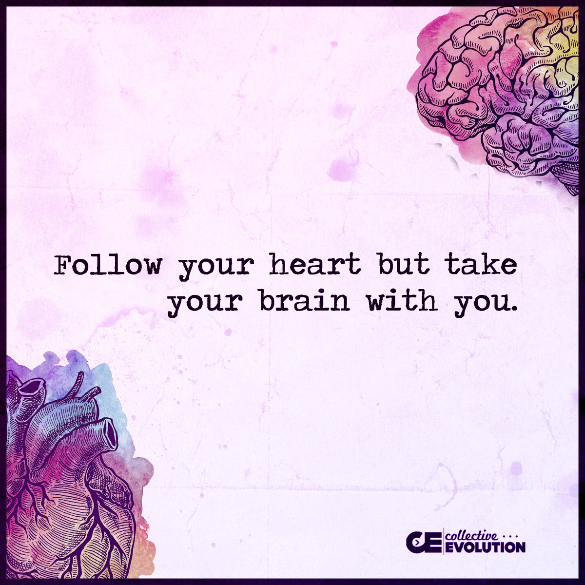 Don't Forget Your Brain - Via <a href="/CollectiveEvol/">Collective Evolution</a>