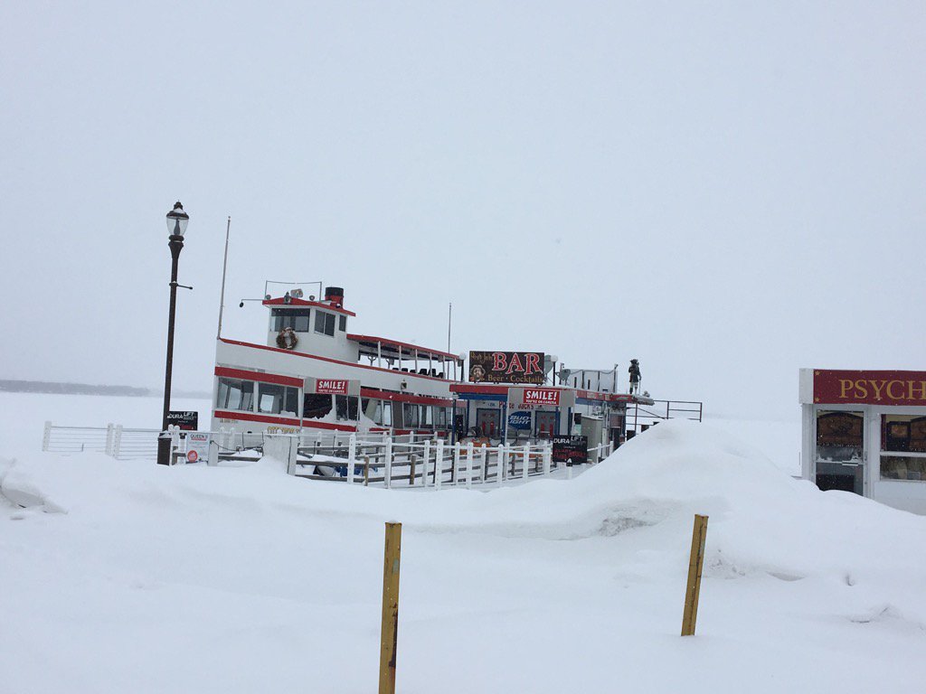 BojiWinterGames's tweet photo. Check back in May for a cruise! https://t.co/QewkYFNai0