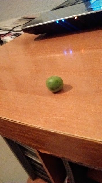 theteddypicker's tweet photo. Hace días le pinté una cara cute a un guisante y lo dejé porque me daba pena comérmelo. Hoy me lo he encontrado. https://t.co/gFFyaJAGgq
