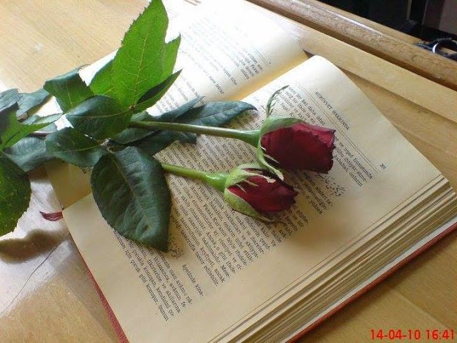 GonulDamlas's tweet photo. Dünya ayrılıklarına bir çâre bulunur, Âhirette ayırma sevdiklerimizden Allah'ım.. Amin.. https://t.co/exDp3TrciE