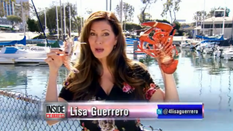 oceana's tweet photo. Thanks @InsideEdition for taking a look at #seafoodfraud!  https://t.co/1gvllMziSw #OneNameOneFish https://t.co/1SU1xN6oPu