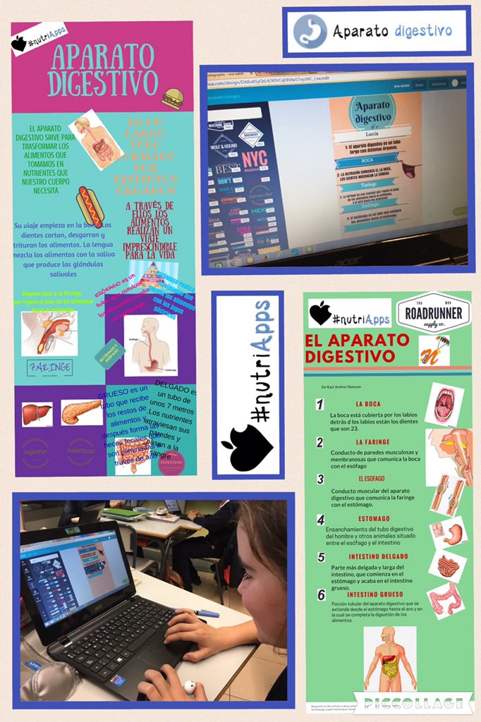 Marta_Ef's tweet photo. PCT #nutriApps 6°EP @nazaretoporto Crea infografías sobre el funcionamiento del aparato digestivo con #canva https://t.co/2uzyFzo1ZU