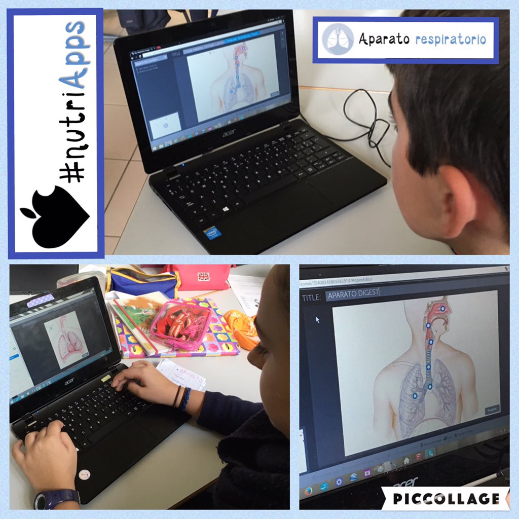Marta_Ef's tweet photo. PCT #nutriApps 6°EP @nazaretoporto Crean imágenes interactivas para comprender el apto. respiratorio con #thinglink https://t.co/pgpqUUSYe3